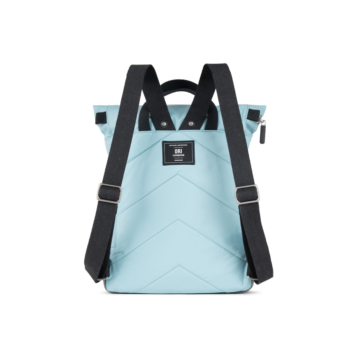 Black Label Canfield Roll Top Backpack in Spearmint