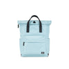 Black Label Canfield Roll Top Backpack in Spearmint