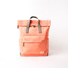 Canfield Roll Top Backpack in Sugar Coral