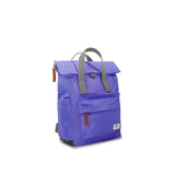 Canfield Roll Top Backpack in Simple Purple