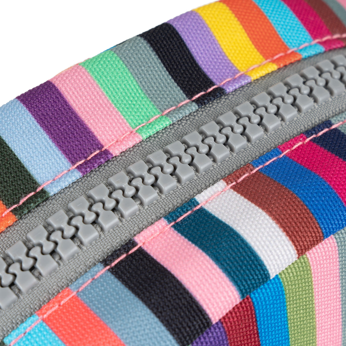 Paddington Crossbody Bag in Multi Stripe