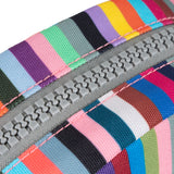 Paddington Crossbody Bag in Multi Stripe