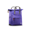 Canfield Roll Top Backpack in Peri Purple