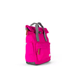Canfield Roll Top Backpack in Candy