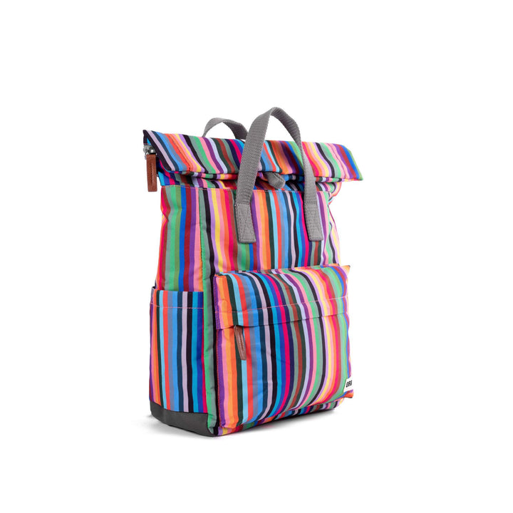 Canfield B Multi Stripe Recycled Canvas